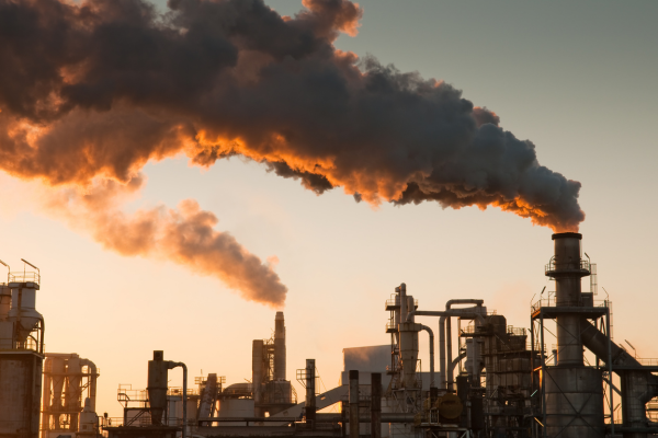 Environmental Factors