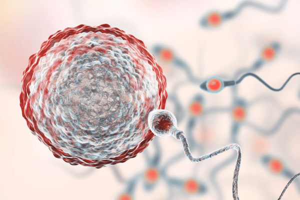 Low Sperm Motility or Count
