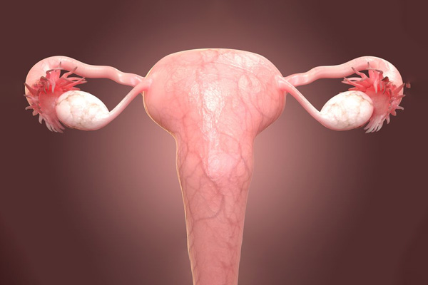 Ovulatory Disorders